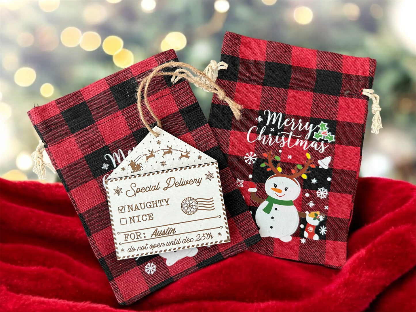 "Special Delivery - Naughty or Nice" Personalized Ornament with Gift Bag